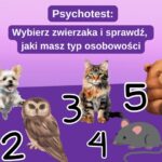 Psychotest: Jaki masz typ osobowości? Wybierz zwierzę i poznaj prawdę