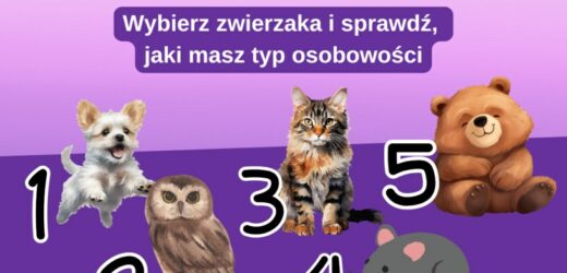 Psychotest: Jaki masz typ osobowości? Wybierz zwierzę i poznaj prawdę