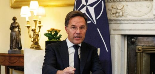 Szef NATO: Nie powiem, że popieram cały plan zwycięstwa Ukrainy