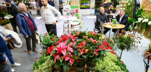 „Zielona przyszłość”. Poznańskie targi Gardenia potrwają do piątku