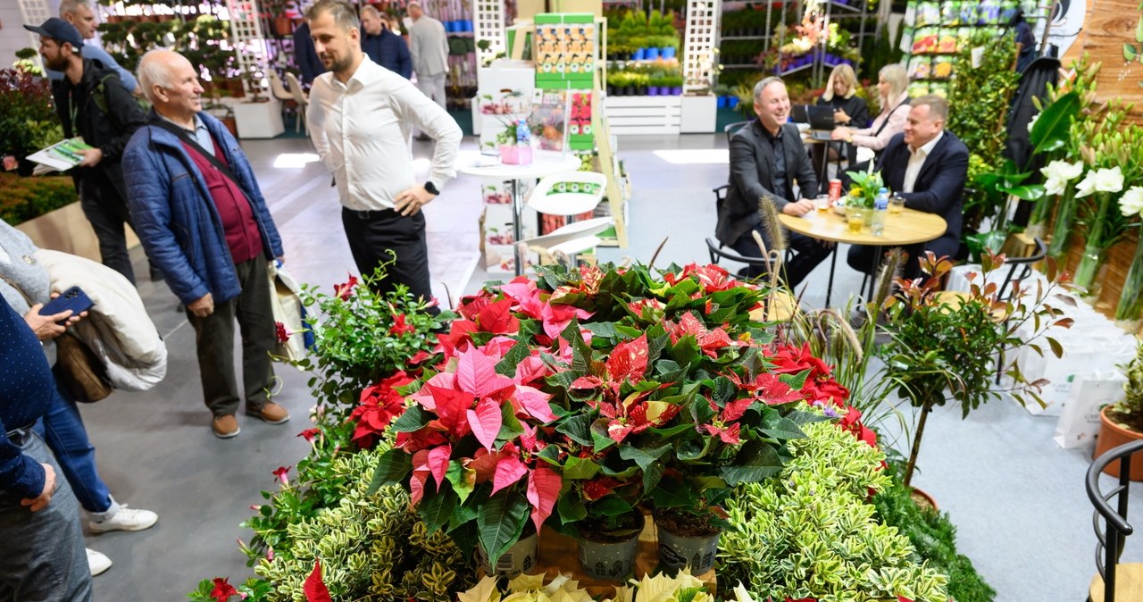 „Zielona przyszłość”. Poznańskie targi Gardenia potrwają do piątku