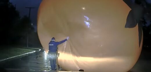 Gigantyczna dynia na ulicy. Policja wkroczyła do akcji
