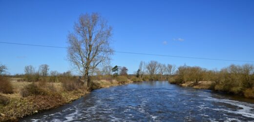 „Resetowanie rzeki”. Rewolucja ekologiczna w Wielkiej Brytanii