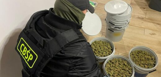 Kokaina w transportach z bananami. Grupa przemytników rozbita