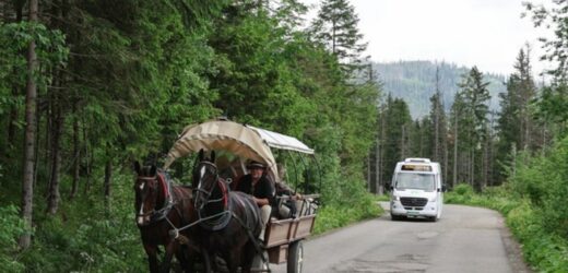 Elektryczne busy do Morskiego Oka. Ich zakup jeszcze w tym roku