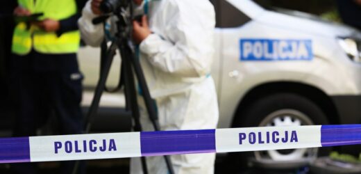 Szczątki dwóch niemieckich żołnierzy z czasów wojny w wykopie przy S7