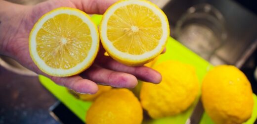 Cytryna wysycha albo pleśnieje? Przez ten błąd marnujesz tylko pieniądze