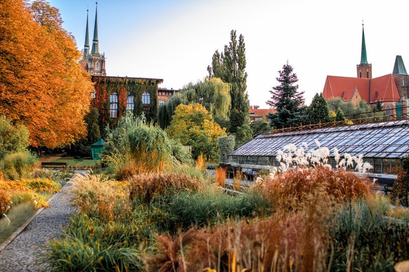 Dziwidło oraz rośliny pamiętające czasy dinozaurów. Nowy obiekt we Wrocławiu przyciągnie turystów