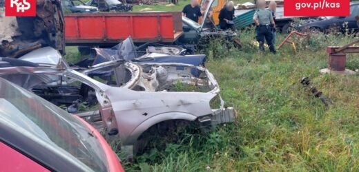 Służby odkryły nielegalne składowisko samochodów. Zdemontowane części palono