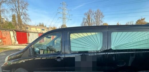 Zamiast trumny ze zwłokami, kartony nielegalnych papierosów