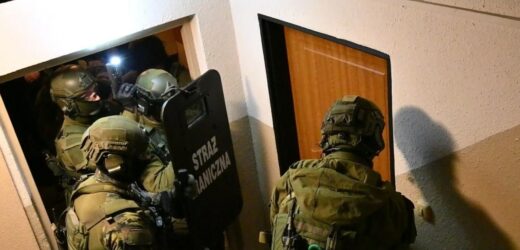 Rozbito grupę przemytników migrantów. Polacy wśród zatrzymanych