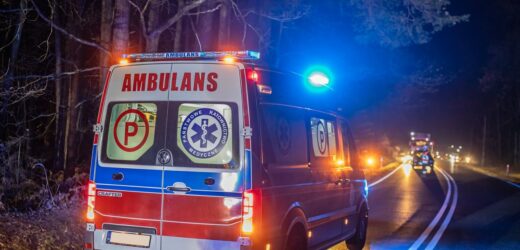 Wypadek pod Warszawą. Autobus miejski zderzył się z dzikim zwierzęciem