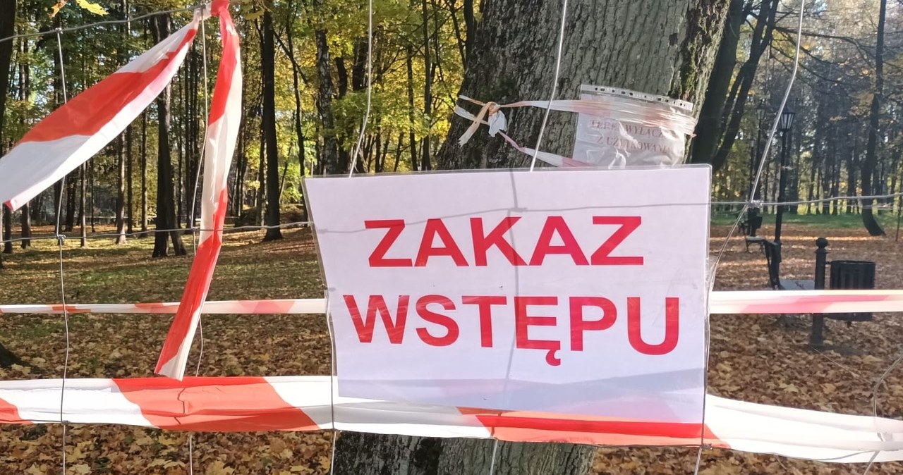 Czy Bolesław podzieli los Trzebini? Patowa sytuacja związana z zapadliskami