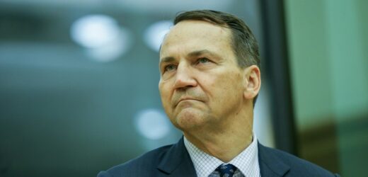 Sikorski o wymarzonym prezydencie: Nie to, co teraz…