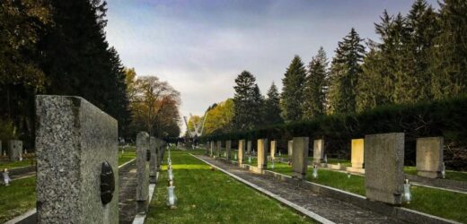 Szczecin: Pierwsze zmiany koło Cmentarza Centralnego