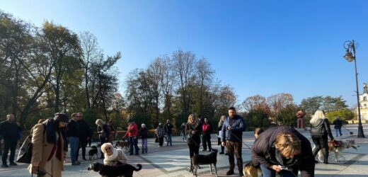 „Parada adopciaków” przeszła ulicami Białegostoku