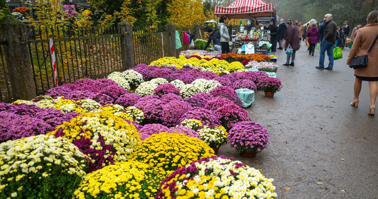 Komunikacja na Wszystkich Świętych w Lublinie