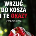 Puszynka leśna, butelczak wiecznisty. Leśnicy pokazali nowe trujące grzyby