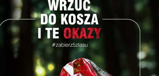 Puszynka leśna, butelczak wiecznisty. Leśnicy pokazali nowe trujące grzyby