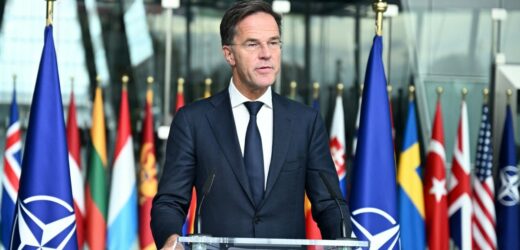 Szef NATO: Północnokoreańskie wojsko przy granicy z Ukrainą