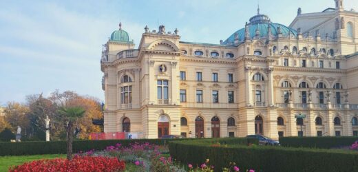 Dalie, kanny, begonie z plant szukają miejsca do przezimowania