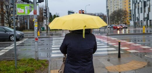Tegoroczna zima bez grama śniegu? Synoptycy prognozują. Oto co nas czeka