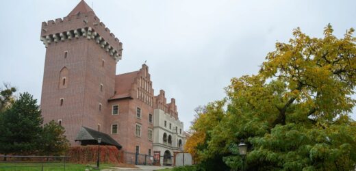 Niesamowite znaleziska na terenie Zamku Królewskiego w Poznaniu