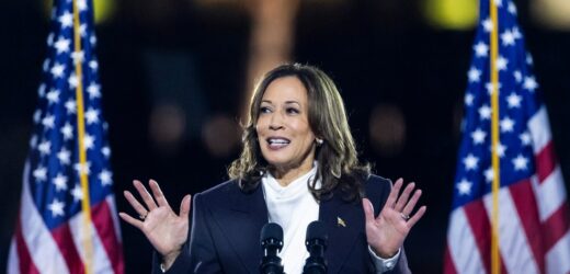 Kamala Harris walczy o głosy Polonii. Skierowała do niej list
