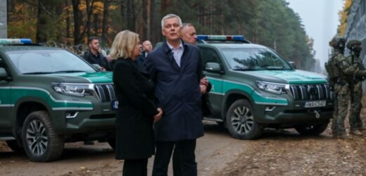 Szefowa MSW Niemiec: Kontrole na granicach są tymczasowe
