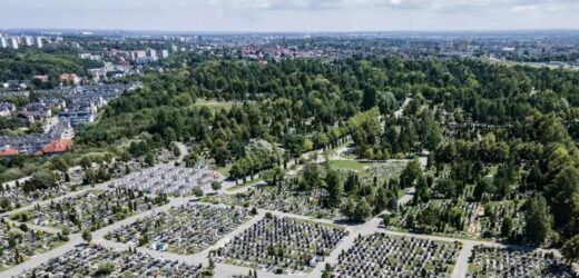 Jak dojechać na cmentarze w Trójmieście? Sprawdź szczegóły