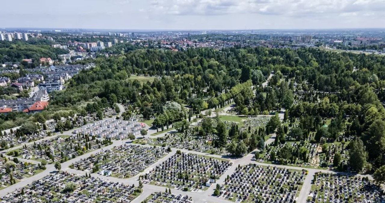 Jak dojechać na cmentarze w Trójmieście? Sprawdź szczegóły