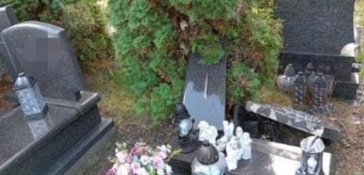 Zdewastowane groby, wyrwane tablice. Śląska policja szuka sprawców