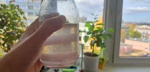 Kup w kiosku i zalej wodą. Rośliny wystrzelą nawet jesienią