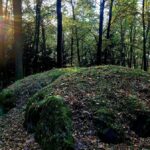 Groby olbrzymów, czyli grobowce megalityczne na Kujawach