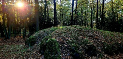 Groby olbrzymów, czyli grobowce megalityczne na Kujawach