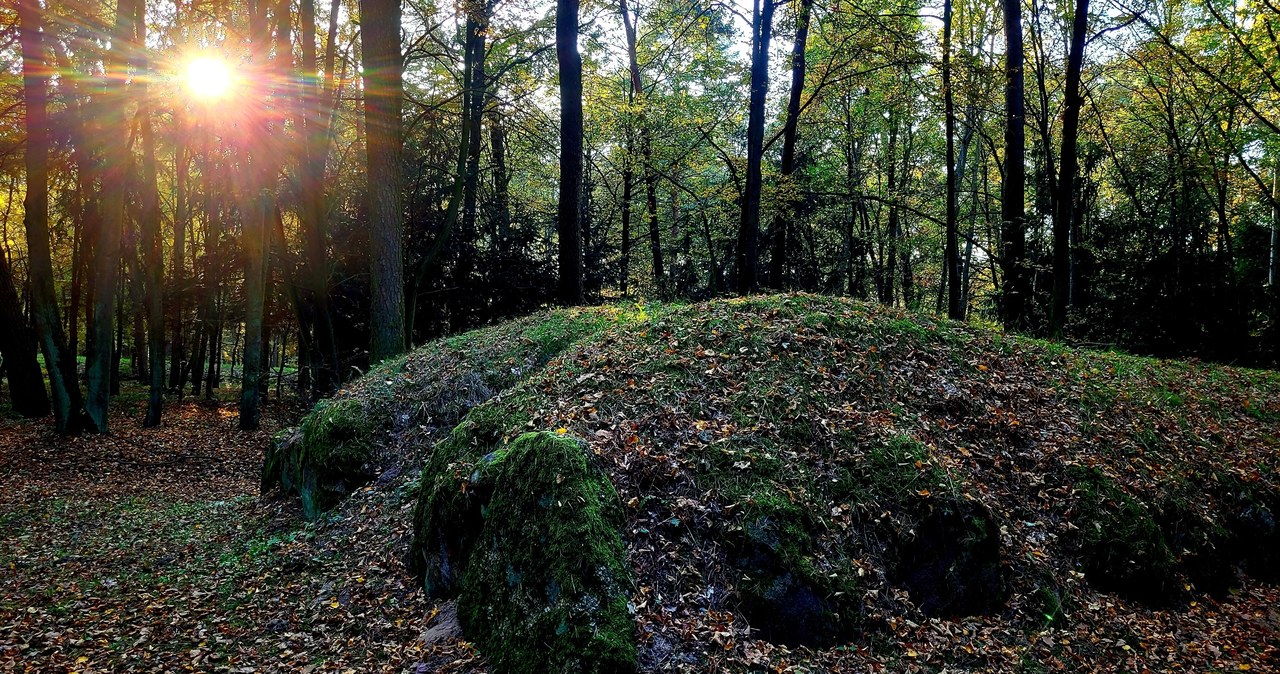 Groby olbrzymów, czyli grobowce megalityczne na Kujawach