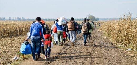 Bruksela przygotowuje się do odsyłania nielegalnych migrantów z Syrii