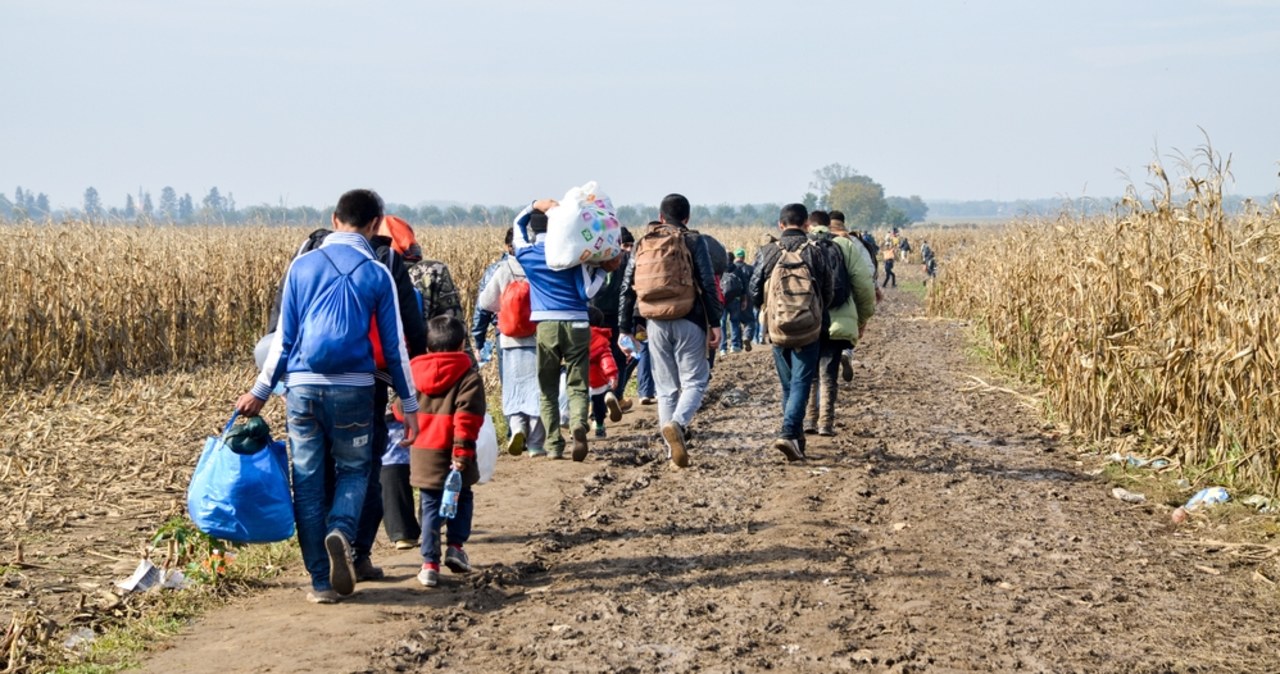 Bruksela przygotowuje się do odsyłania nielegalnych migrantów z Syrii