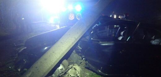 18-latek miał prawo jazdy od 7 dni. Rozbił audi na słupie