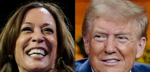 Harris czy Trump? Kogo wolą Polacy? [SONDAŻ]