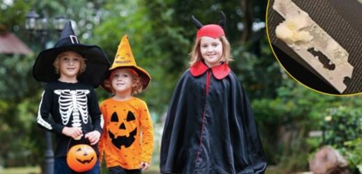 Halloween mogło skończyć się tragicznie. Ostry przedmiot znaleziony w cukierku