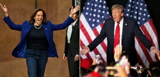 Harris czy Trump? Ostatnie sondaże przed decydującym starciem