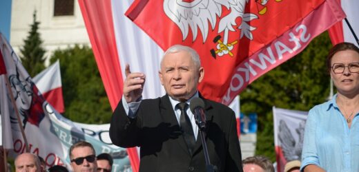 ​Kto kandydatem PiS na prezydenta? Nowogrodzka pozna wyniki badań 15 listopada