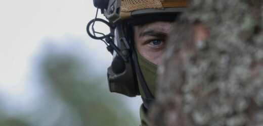 Kraj NATO zatwierdza nowy model służby wojskowej