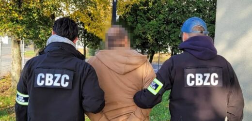 Rozpowszechniali pornografię dziecięcą. Gang pedofilów rozbity