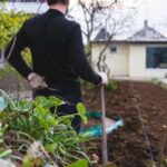 Zaskoczenie kryło się pod grządką. Niezwykłe znaleziska z ogrodów