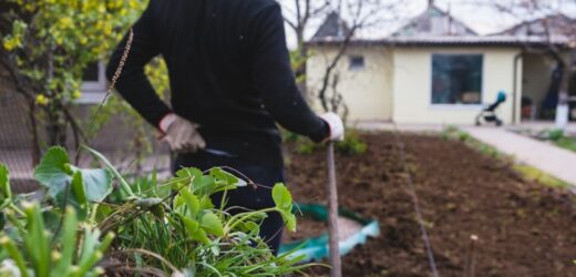 Zaskoczenie kryło się pod grządką. Niezwykłe znaleziska z ogrodów