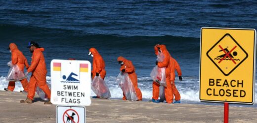 Tysiące śmierdzących „czarnych kul” na plażach Sydney. W ich składzie dosłownie wszystko