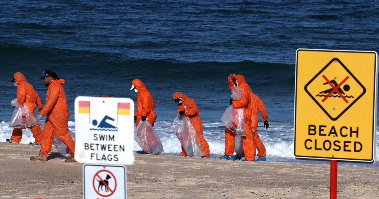 Tysiące śmierdzących „czarnych kul” na plażach Sydney. W ich składzie dosłownie wszystko