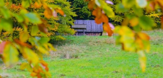 Tanie jak… nocleg w Zakopanem. Górale tną ceny na długi weekend